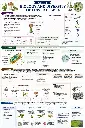 ChatGPT Image May 14, 2026, 08_29_13 PM.webp