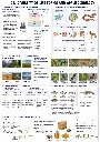 ChatGPT Image May 15, 2026, 10_10_42 AM.webp