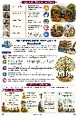 page-7.webp