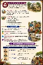 page-6.webp